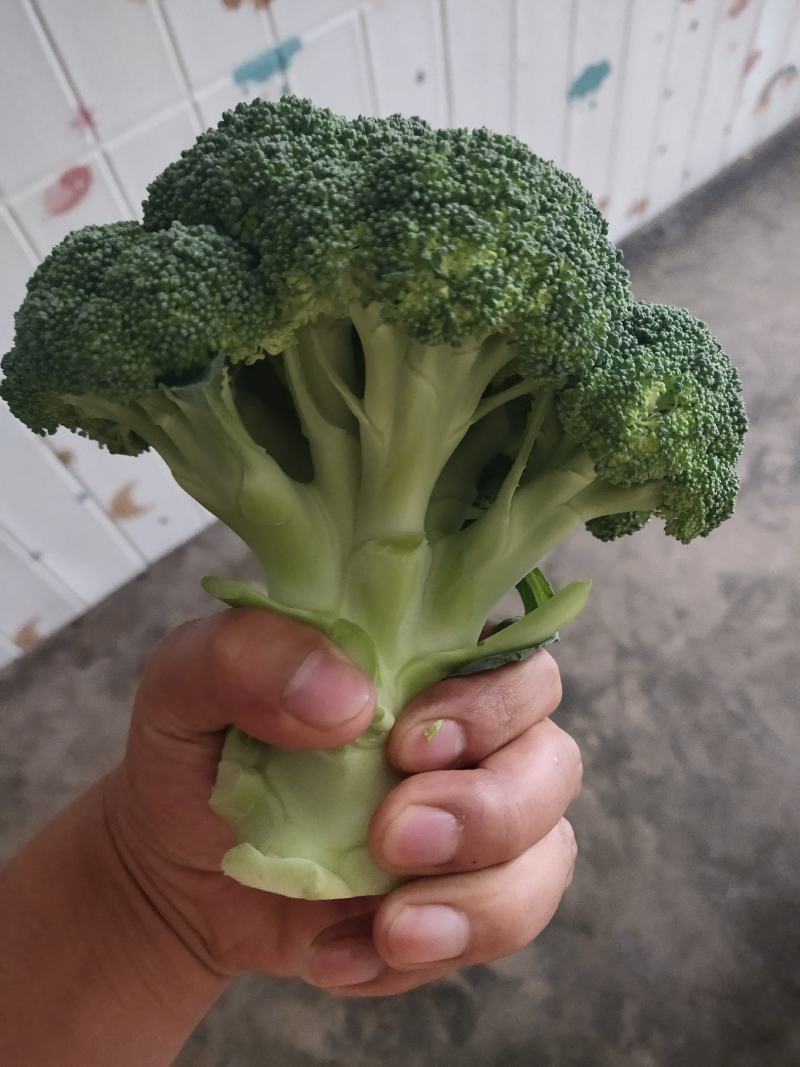 西兰花