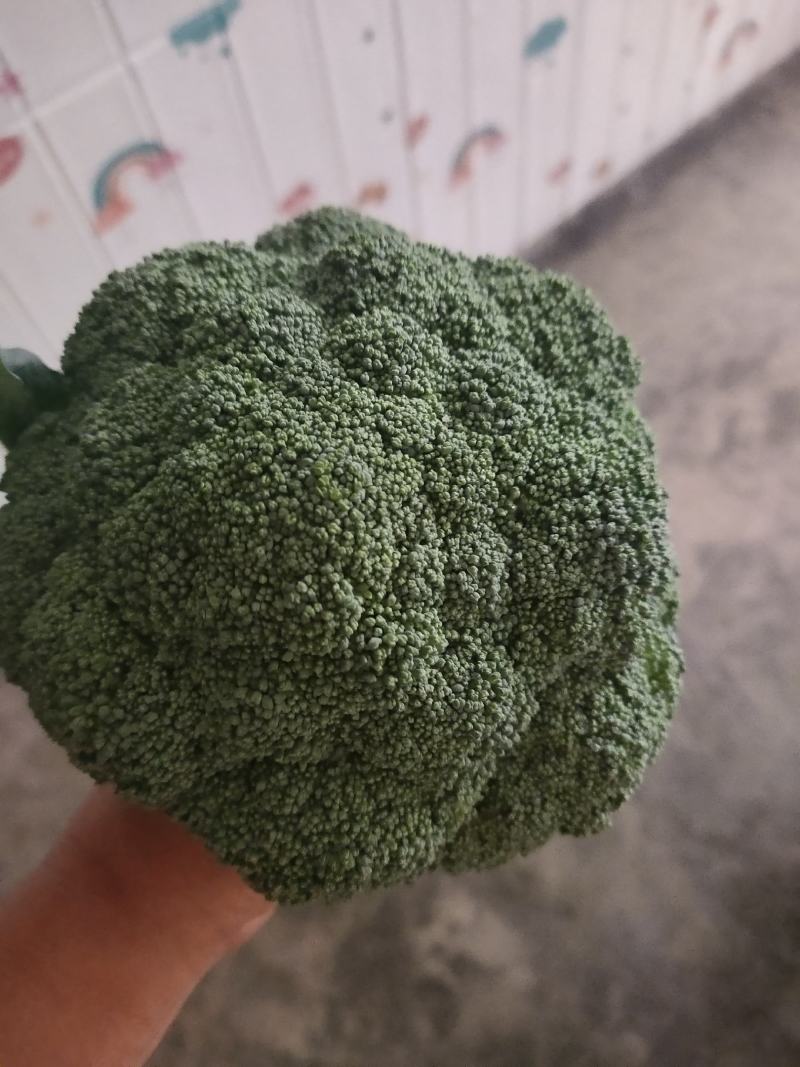西兰花