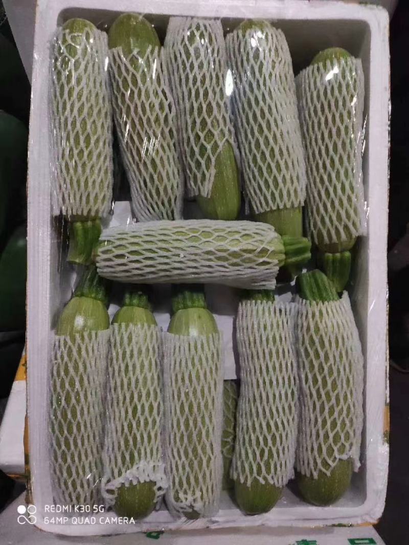 西葫芦