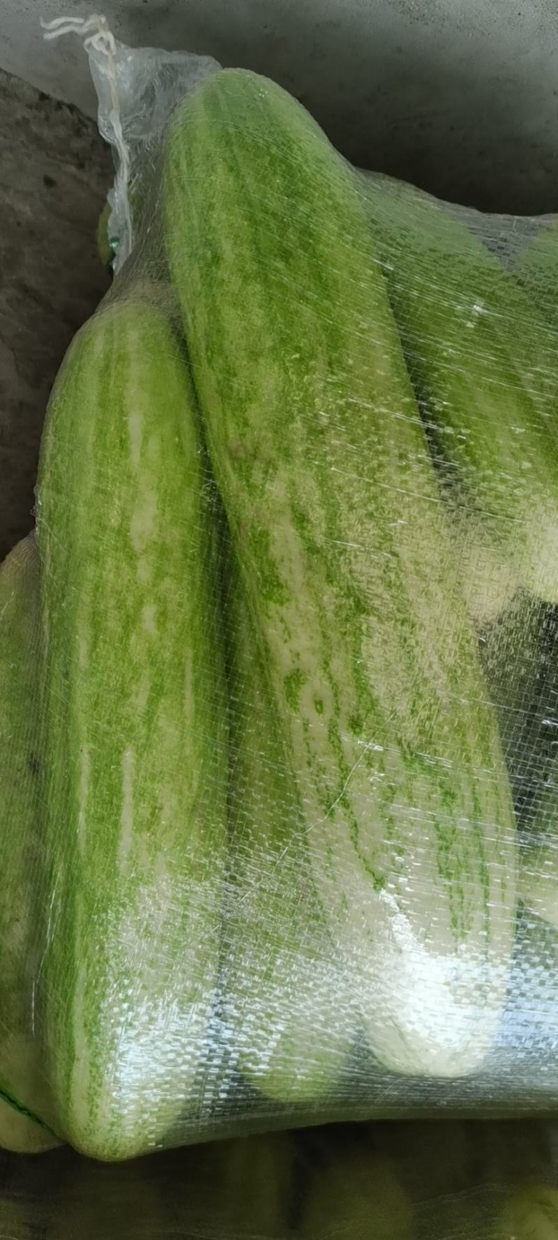 高山精品蔬菜新品上市中