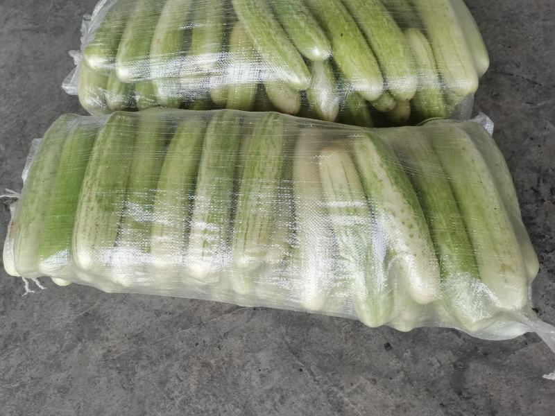 高山精品蔬菜新品上市中