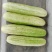 高山精品蔬菜新品上市中
