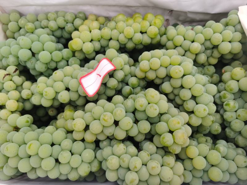水晶葡萄