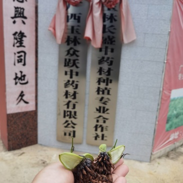 欢迎来电洽谈18007755831