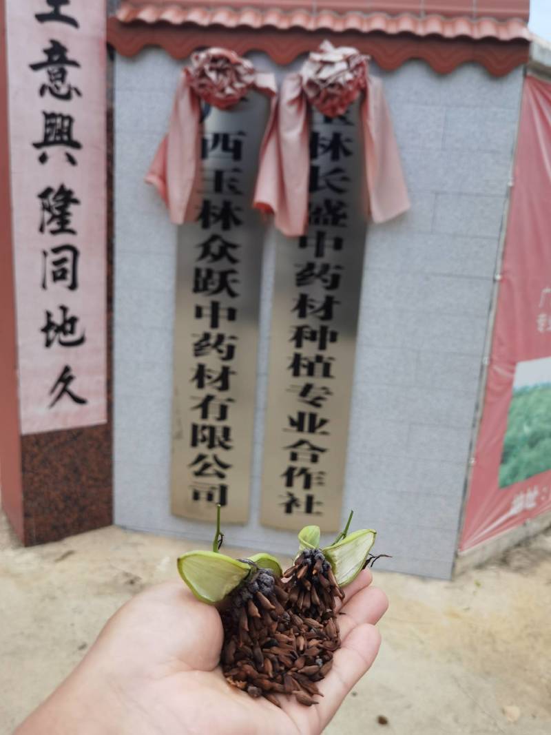 欢迎来电洽谈18007755831