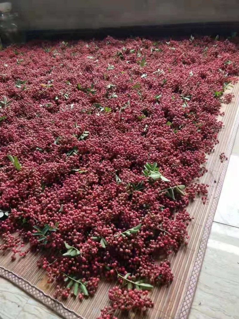 正宗汉源贡椒花椒自家种植基地可批发麻味十足颗粒饱满