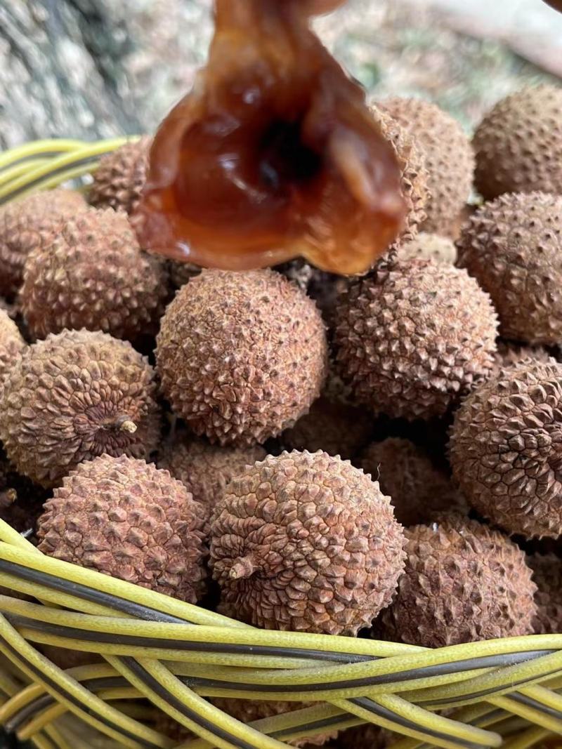 桂味干