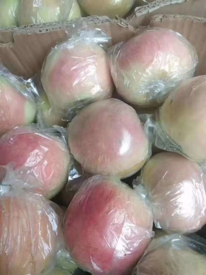 脆甜红富士苹果~产地直供