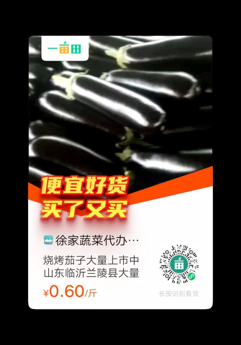 烧烤茄子大量上市中山东临沂兰陵县大量上市