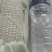 河北邯郸各种玉米大量上市中，诚信经营。谢谢合作。