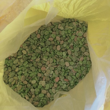 蚕豆菜籽