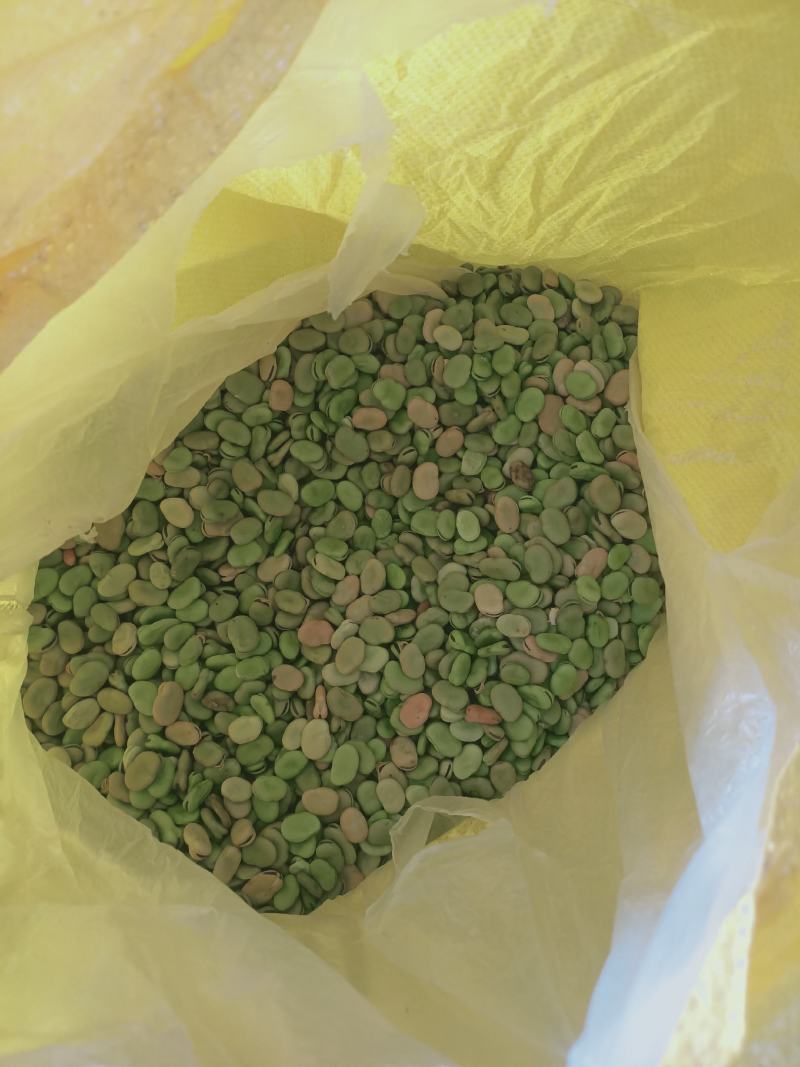 蚕豆菜籽
