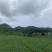 茭白