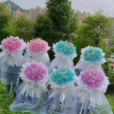 满天星干花花束礼盒七夕情人节一件代发包邮到家昆明同城配送
