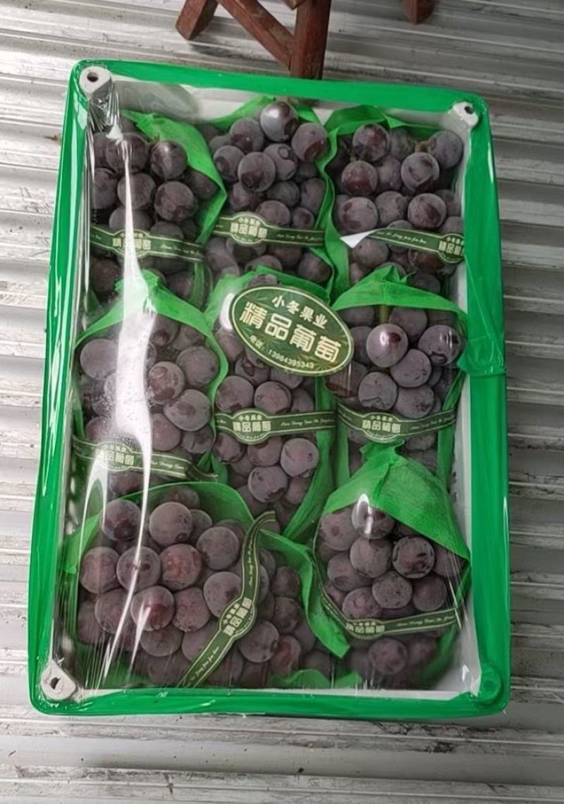 【优果】河北乒乓球葡萄藤稔葡萄晋州葡萄产地代办