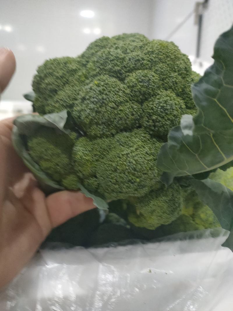 泰绿西兰花