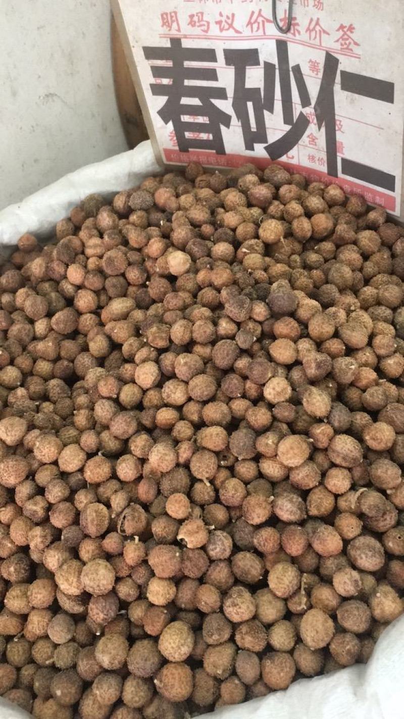 砂仁500g沙仁毛砂仁特产农家无硫黑砂仁广东砂仁卤
