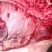 供应农家土猪肉猪肉高山放养肉质鲜美生鲜批发