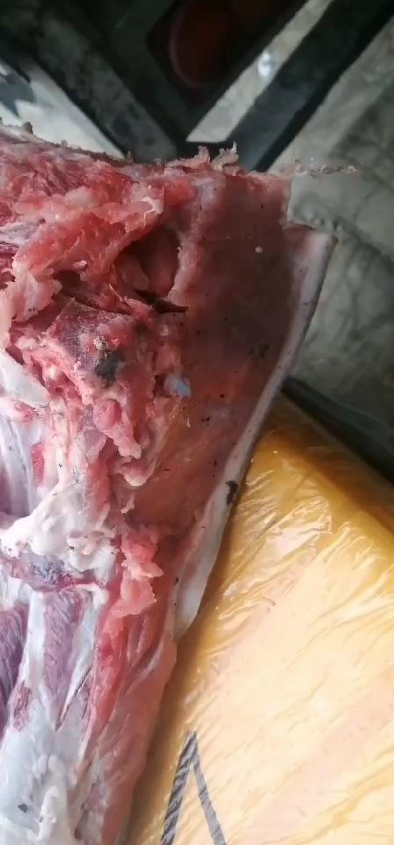 供应农家土猪肉猪肉高山放养肉质鲜美生鲜批发