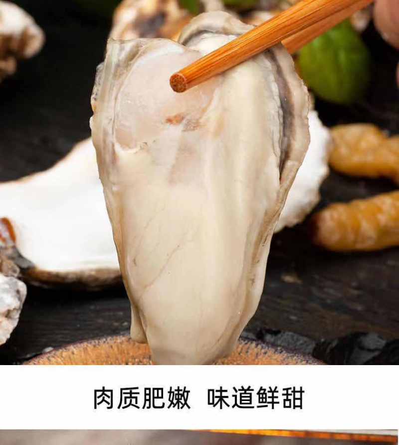乳山生蚝大量出货牡蛎双龟岛精品三倍体生蚝鲜活发货