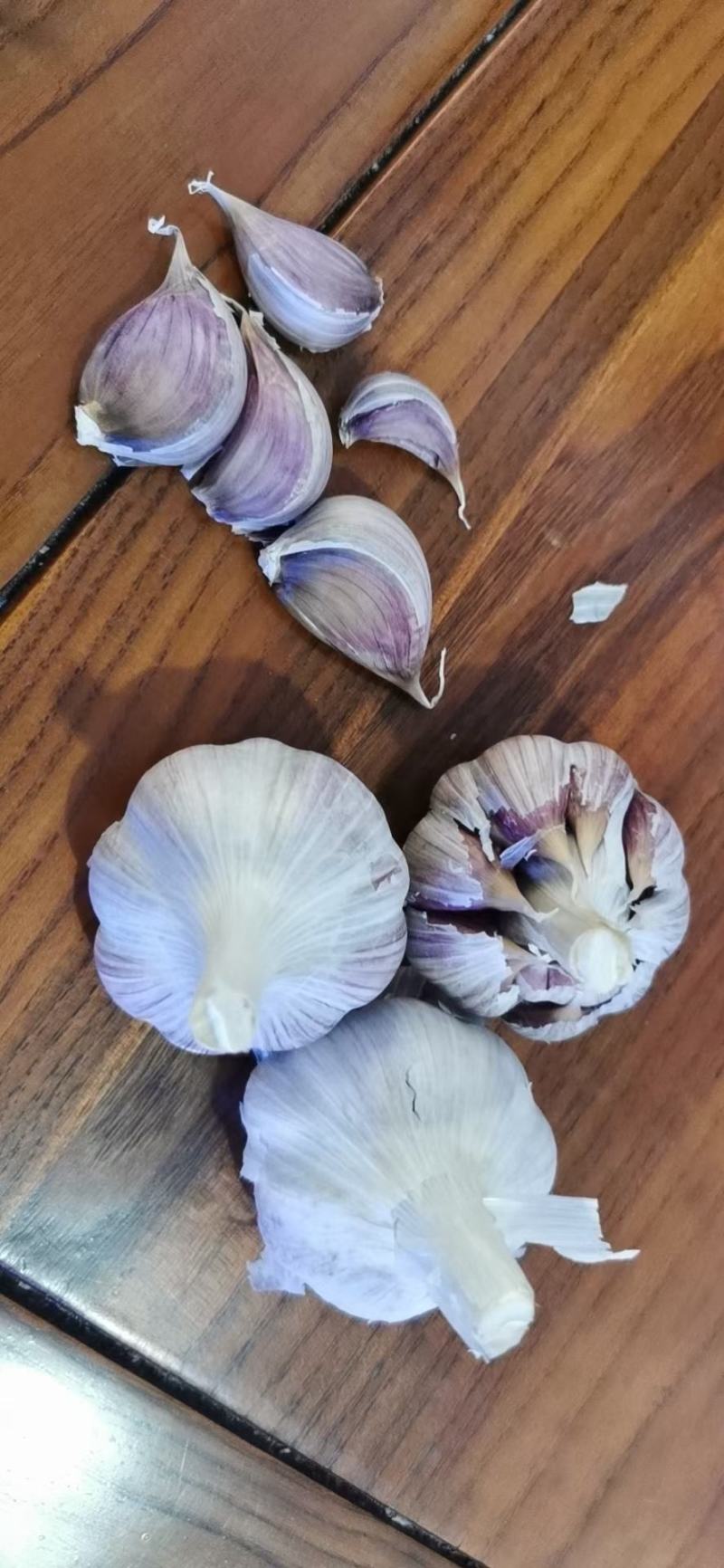 种蒜蒜苗蒜蒜苔蒜红瓣蒜人工分瓣蒜种