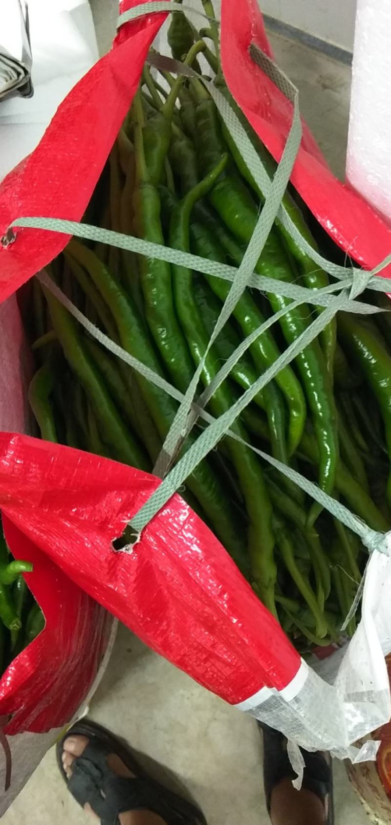蔬菜辣椒批发代购