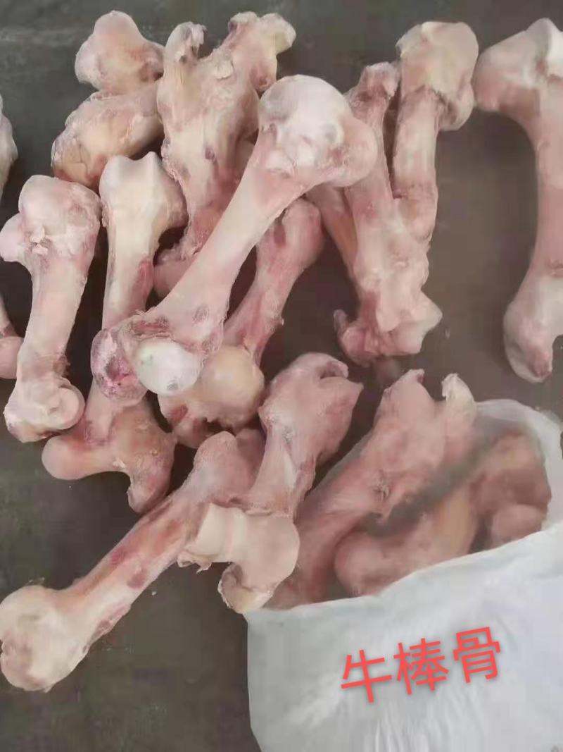 牛副产品，牛筋，牛肉，牛大骨，跑地摊江湖产品，大量现货供