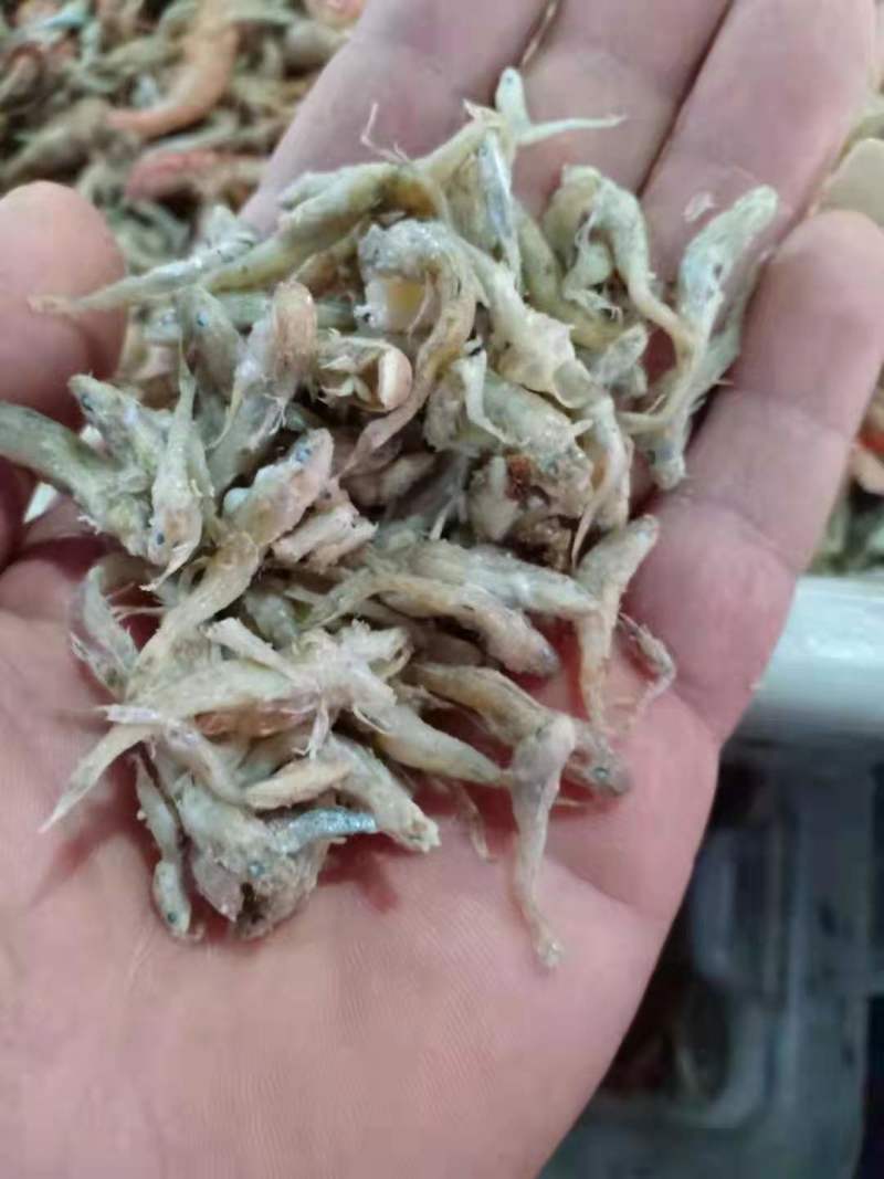 节头鱼小鱼饲料鱼食品级烘干小鱼！大量现货产地直发不包邮
