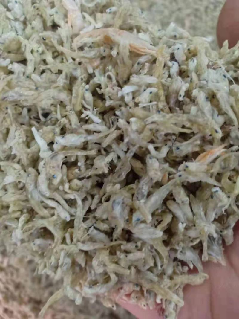 节头鱼小鱼饲料鱼食品级烘干小鱼！大量现货产地直发不包邮