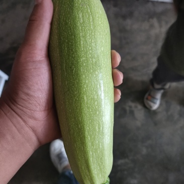 各种蔬菜大量上市