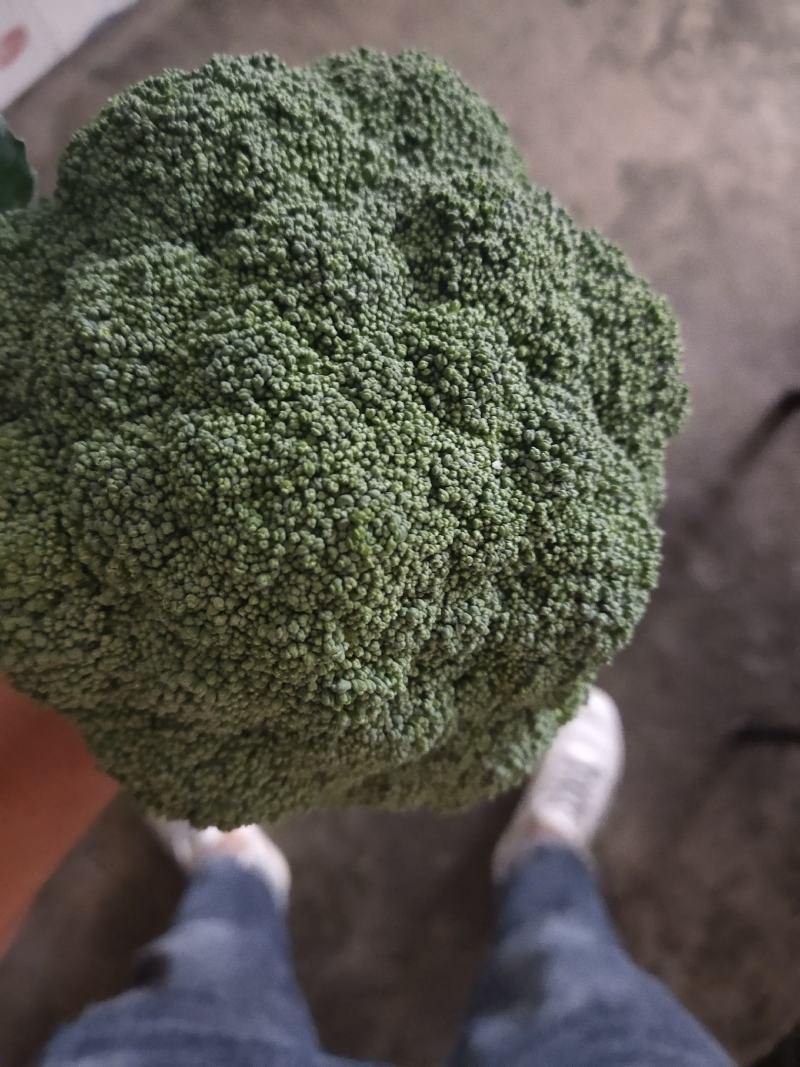 各种蔬菜大量上市