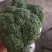 各种蔬菜大量上市