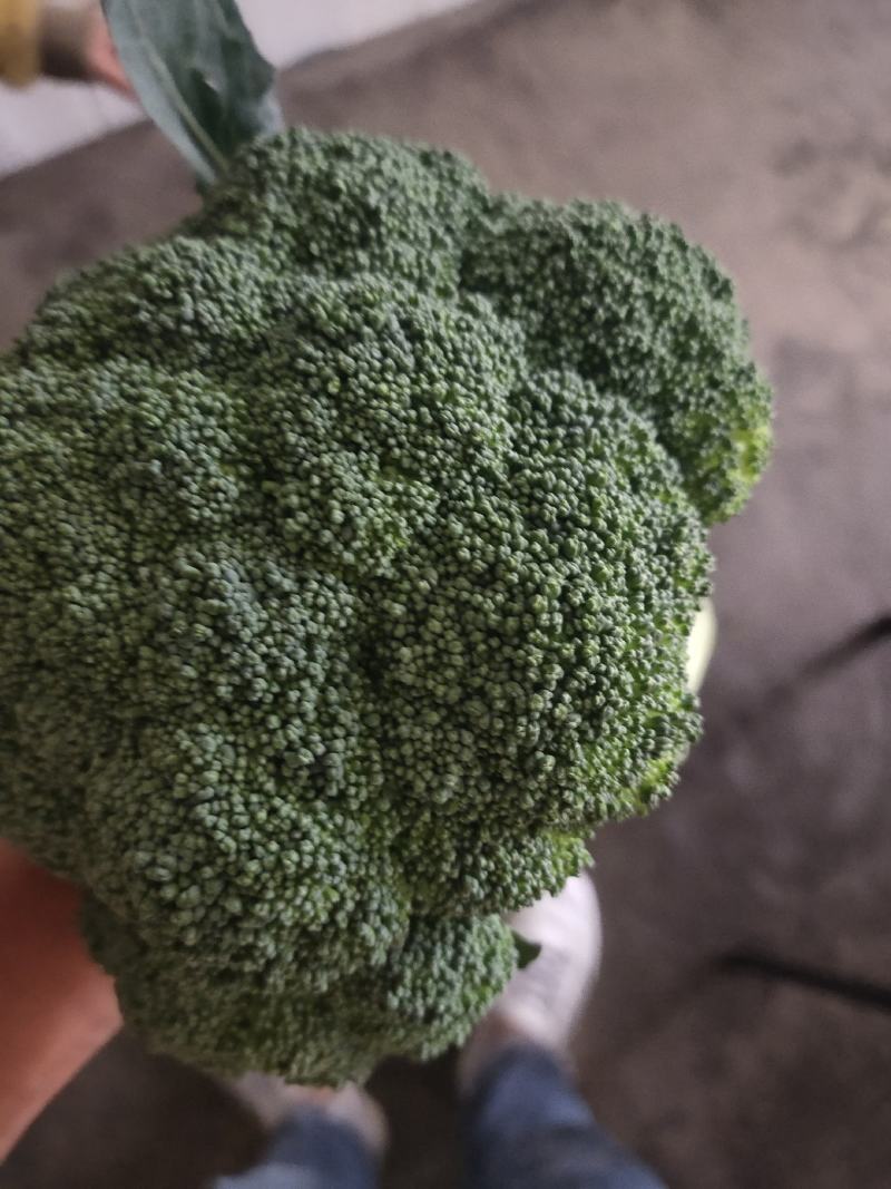 各种蔬菜大量上市
