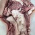 （全熟牛头肉）厂家直销真空包装一手货源质量保证长期供应
