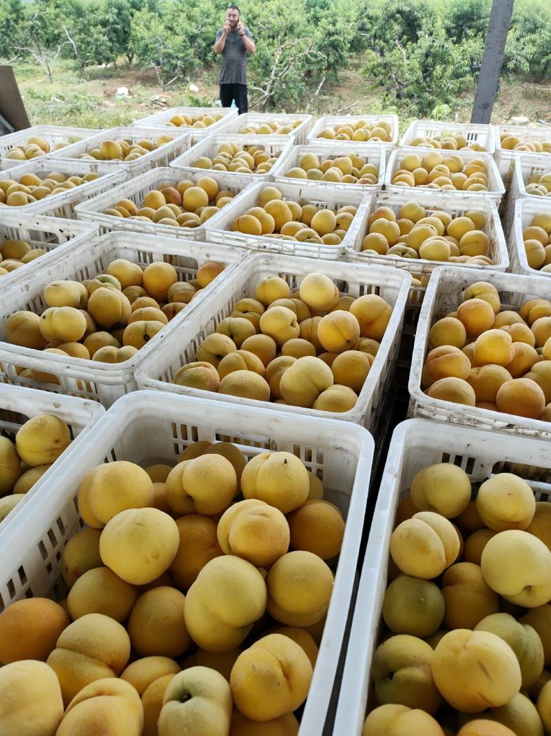 电商微商社区平台一件代发