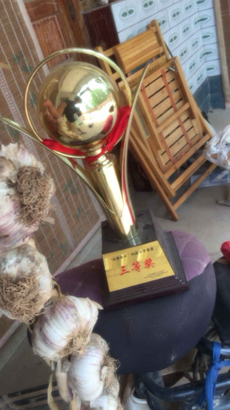 大名县淤土地蒜种产地直营销往全国各地