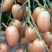 鸡心黄皮果大量上市了