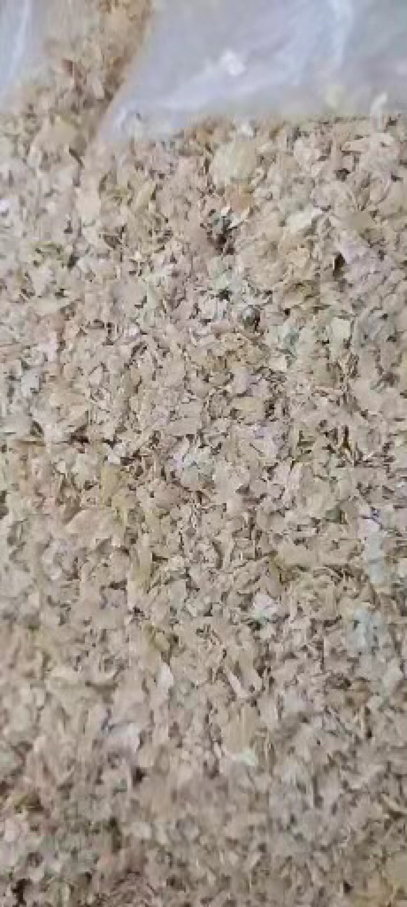 麸皮现货供应，全国发货，诚信经营
