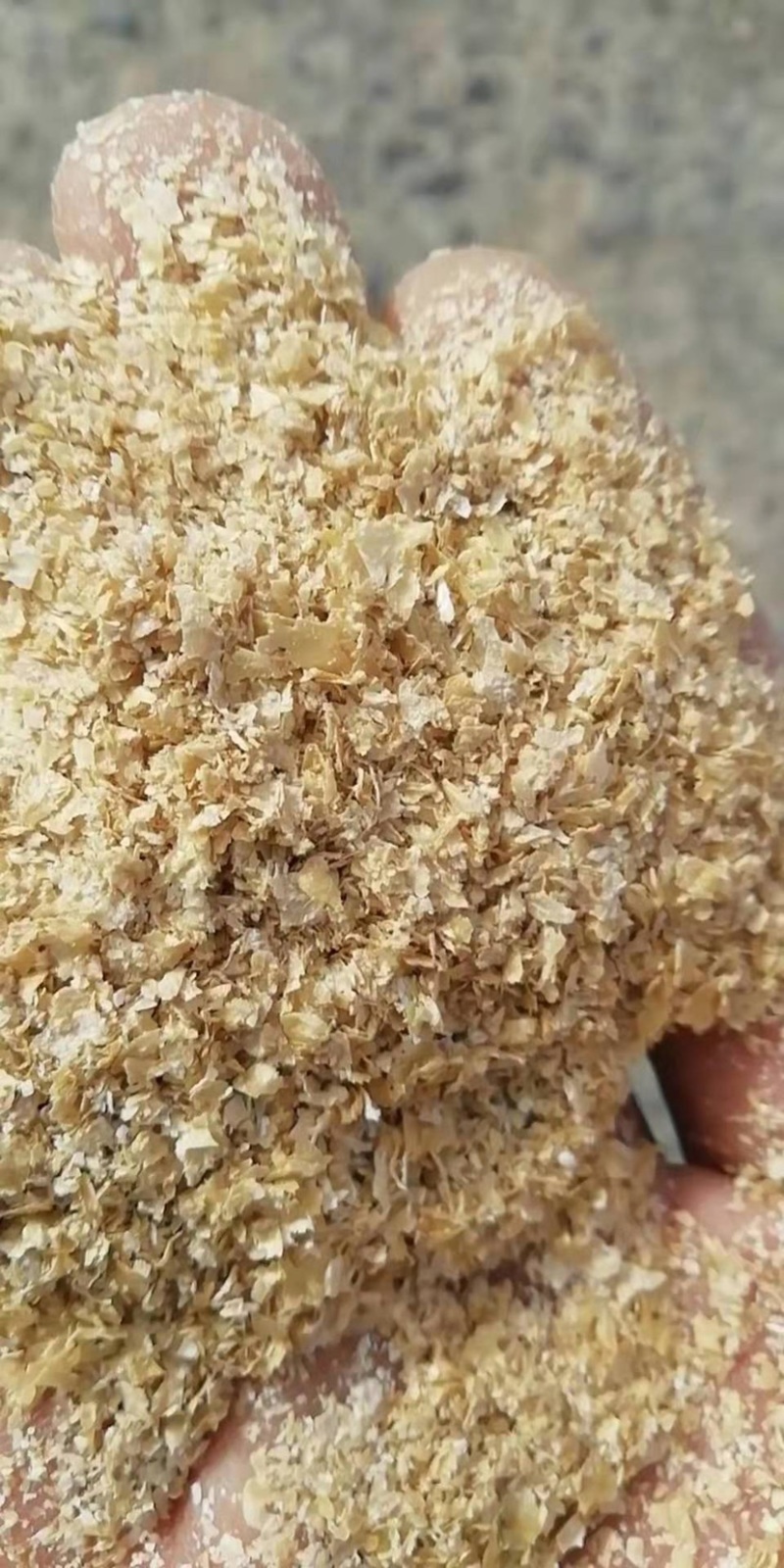麸皮现货供应，全国发货，诚信经营