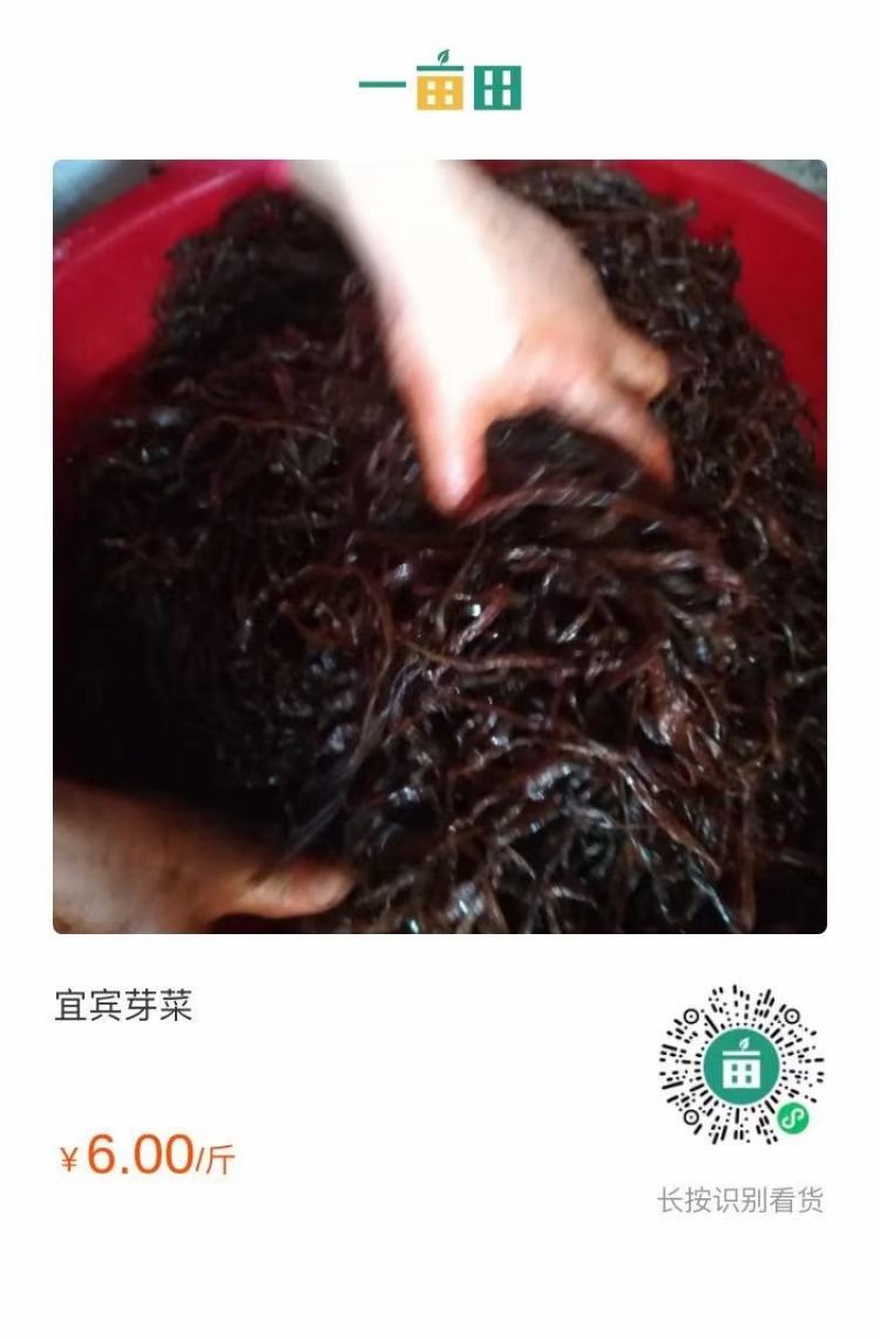 宜宾五香糖芽菜，以名贵香料经腌制发酵而成，重点宊出香嫩脆