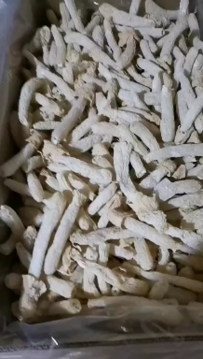 产地直发竹荪干货2021年新货无硫竹荪一手货源保质保量