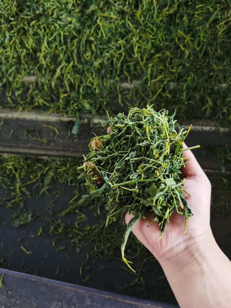 奶茶原料《红茶》