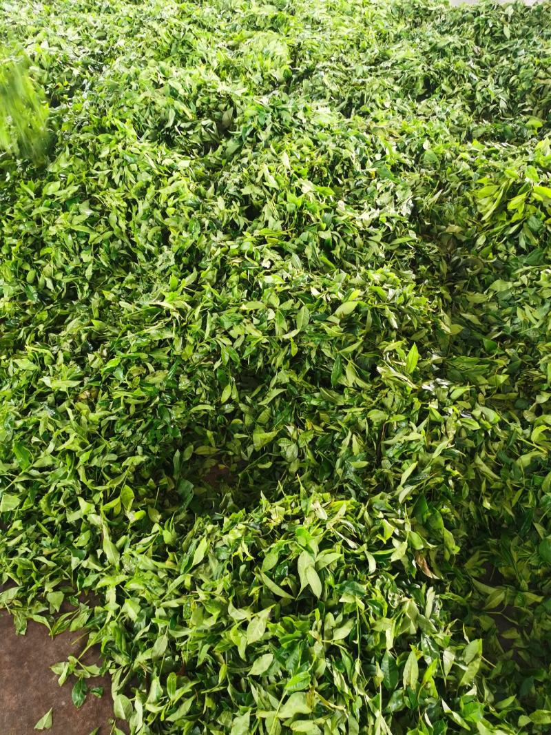 奶茶原料《红茶》