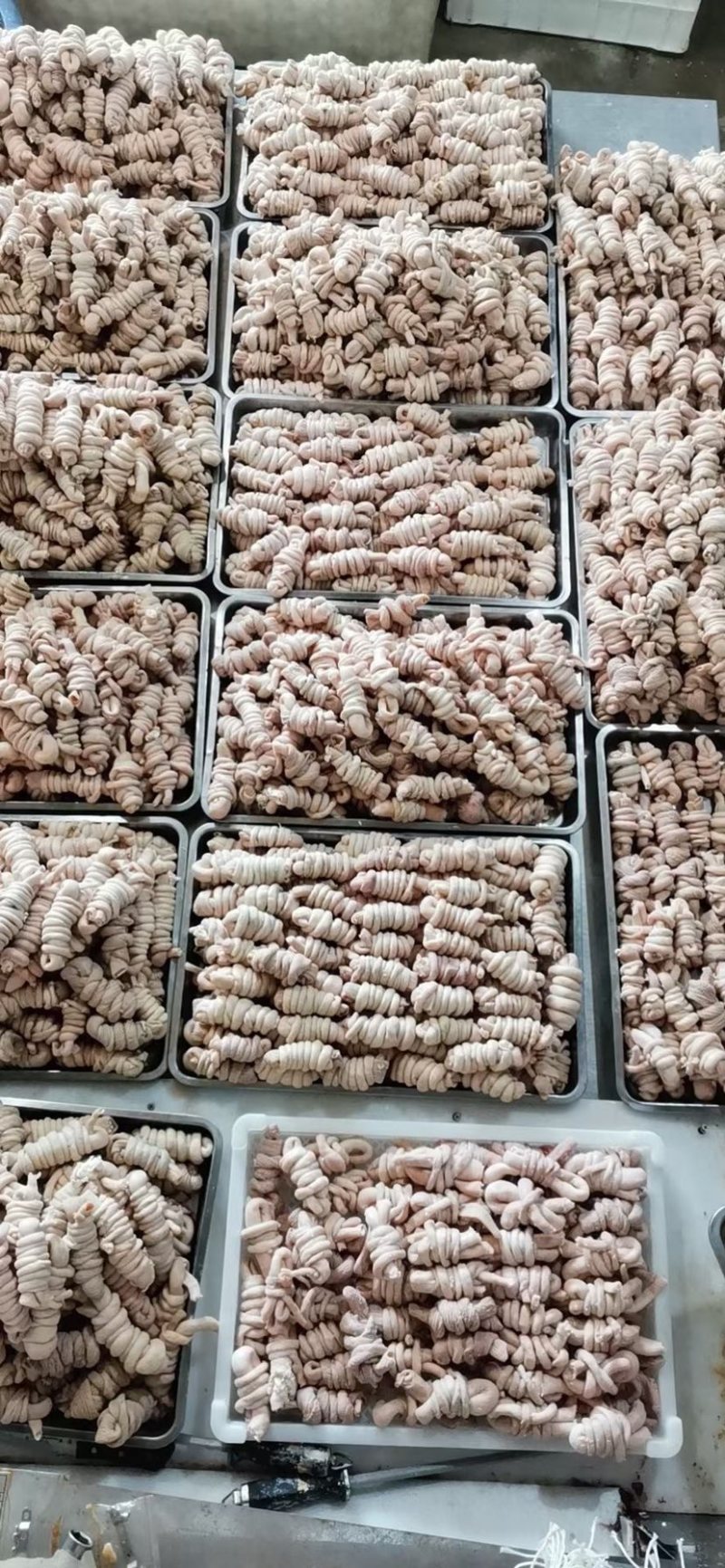 羊捆肠清真网红食品十成熟五香口味一斤6-7个