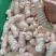 羊捆肠清真网红食品十成熟五香口味一斤6-7个