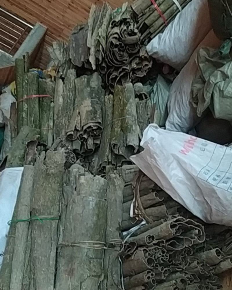 贵州铜仁树皮类中药材无硫老树杜仲皮干货多种规格产地直发