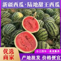新疆高昌精品甜王西瓜正上市价格低能