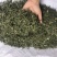 穿心莲合作社选装货叶子达到30-40%可开发票