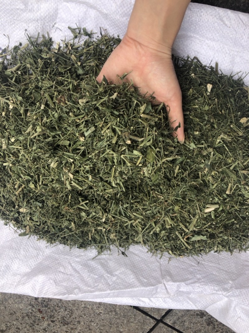 穿心莲合作社选装货叶子达到30-40%可开发票