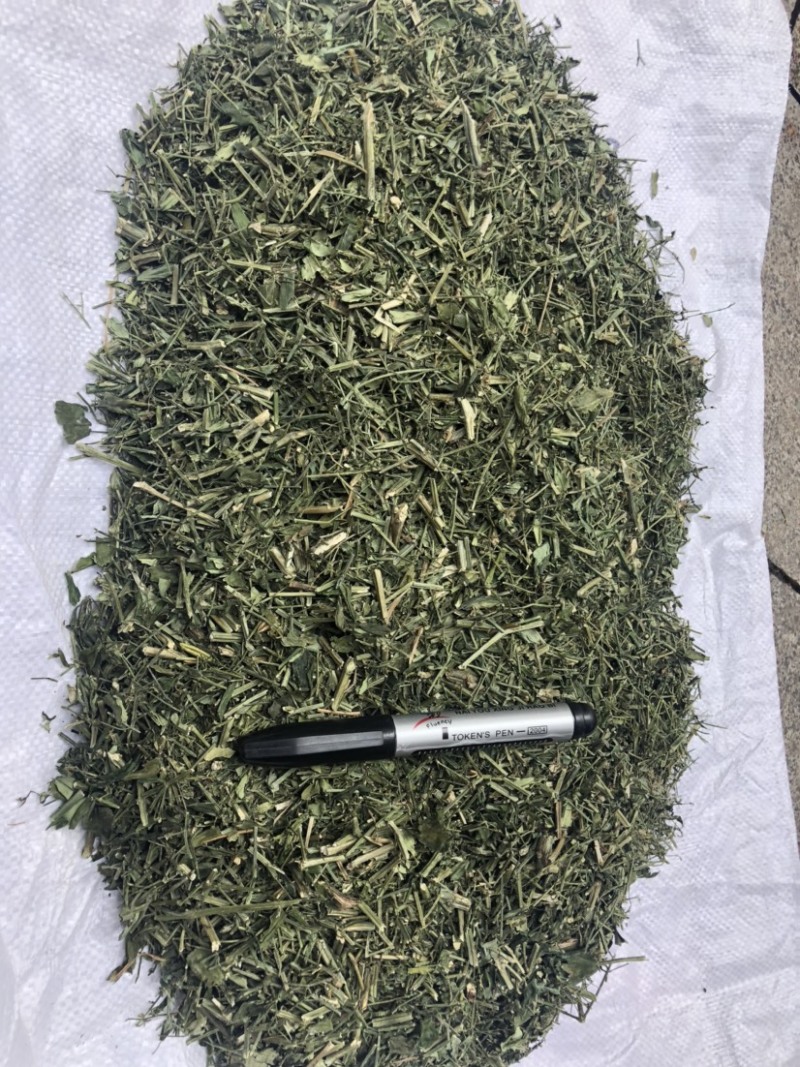 穿心莲合作社选装货叶子达到30-40%可开发票